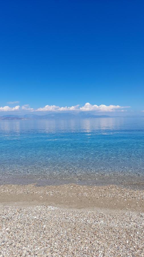 Akrata Rose Garden Apartments I Paralia Akratas Экстерьер фото